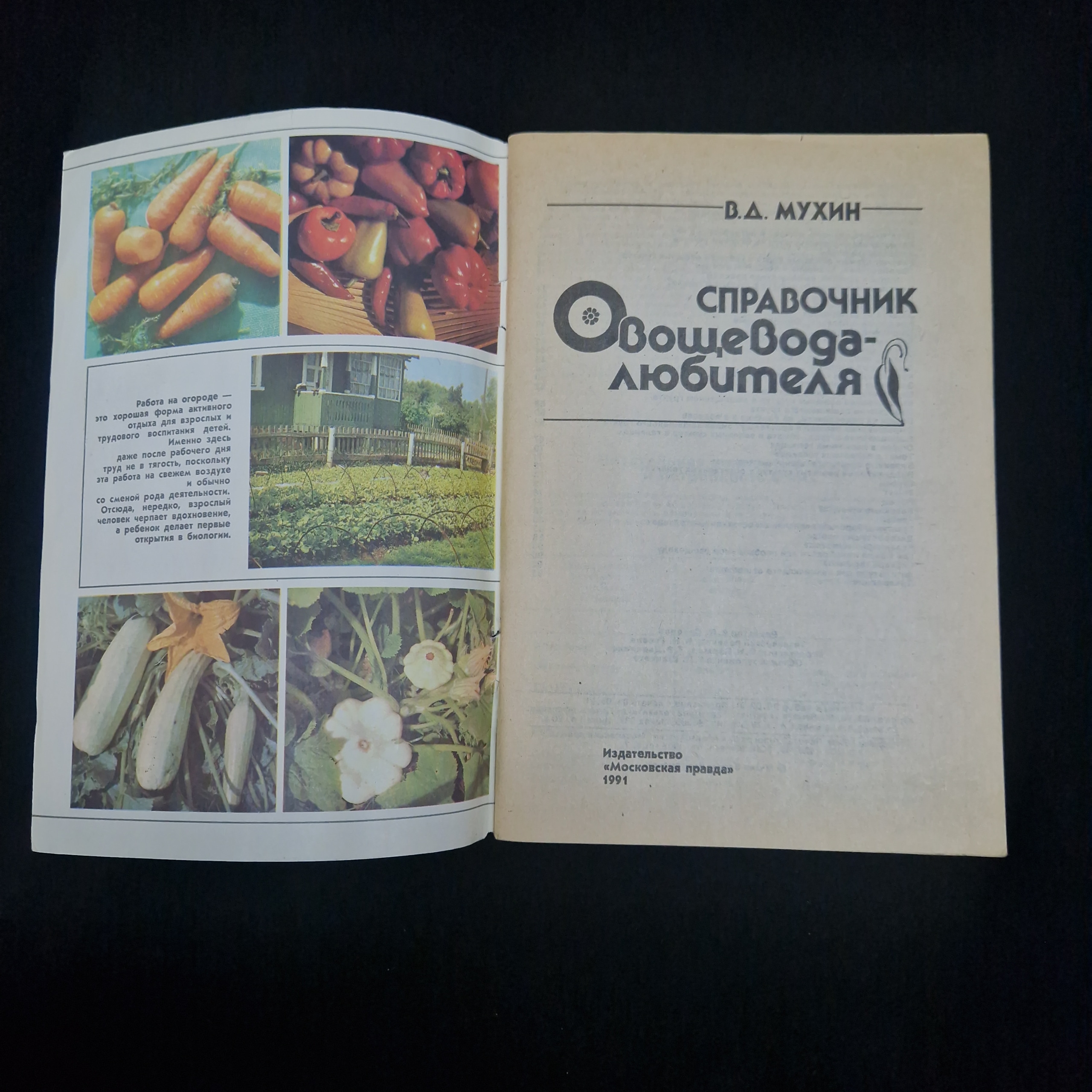 Картинка 3