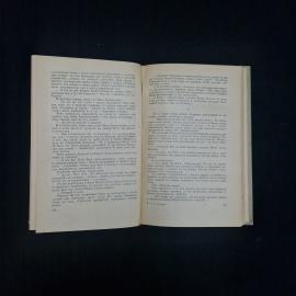 Картинка 5
