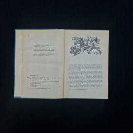 Картинка 5