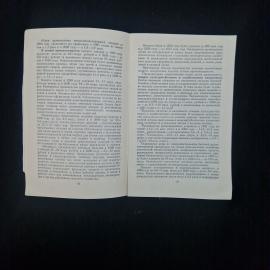 Картинка 5