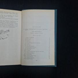 Картинка 7