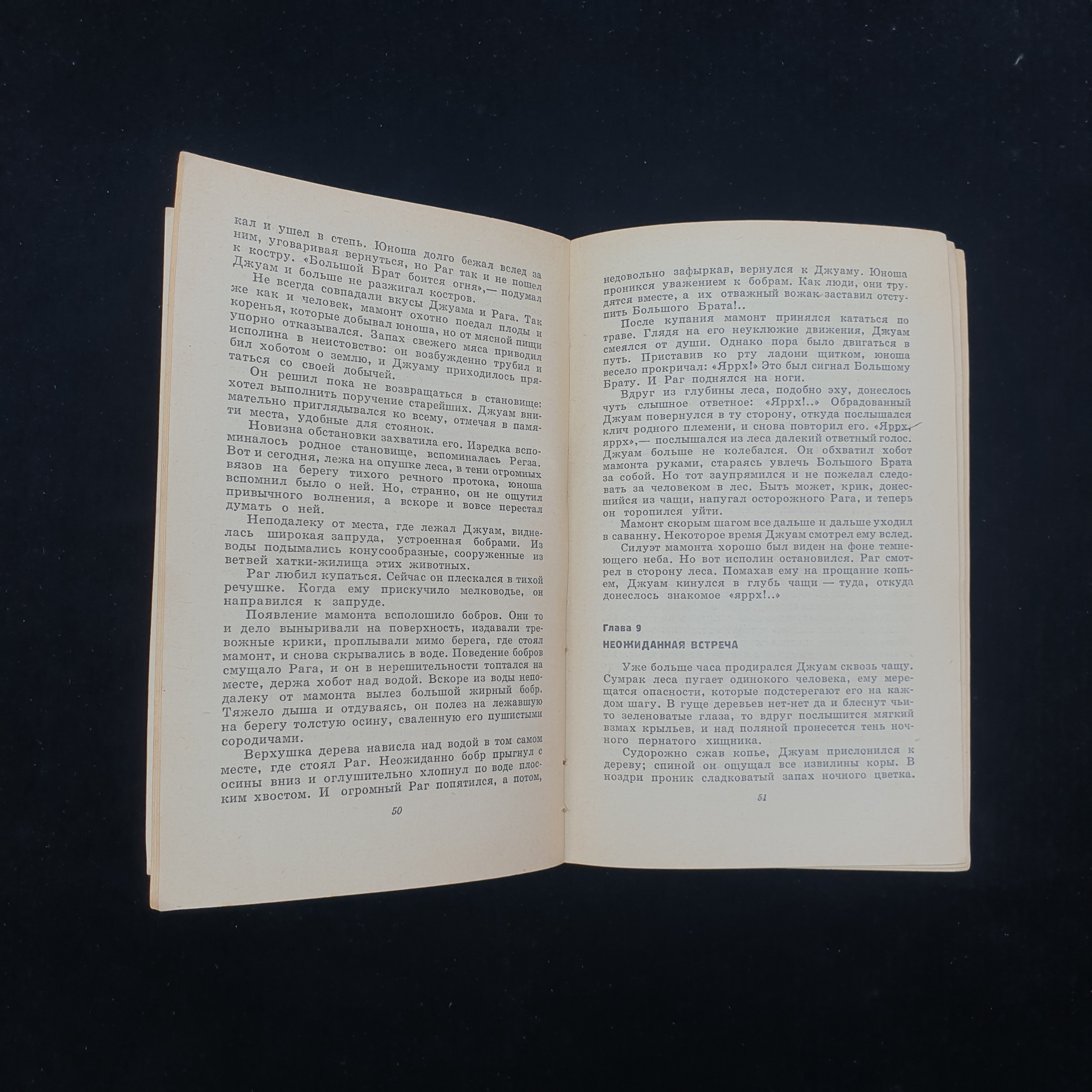 Картинка 4