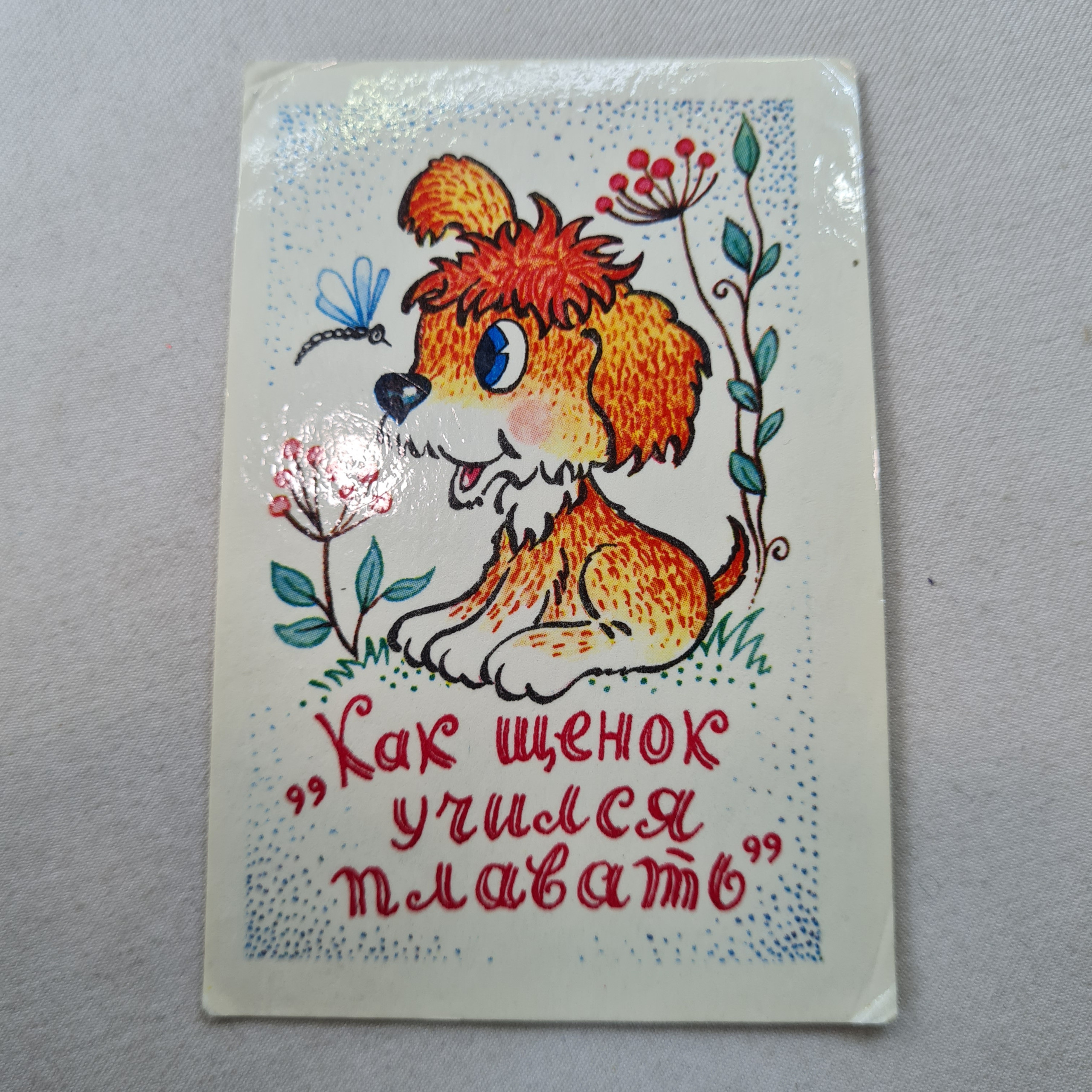 Картинка 1