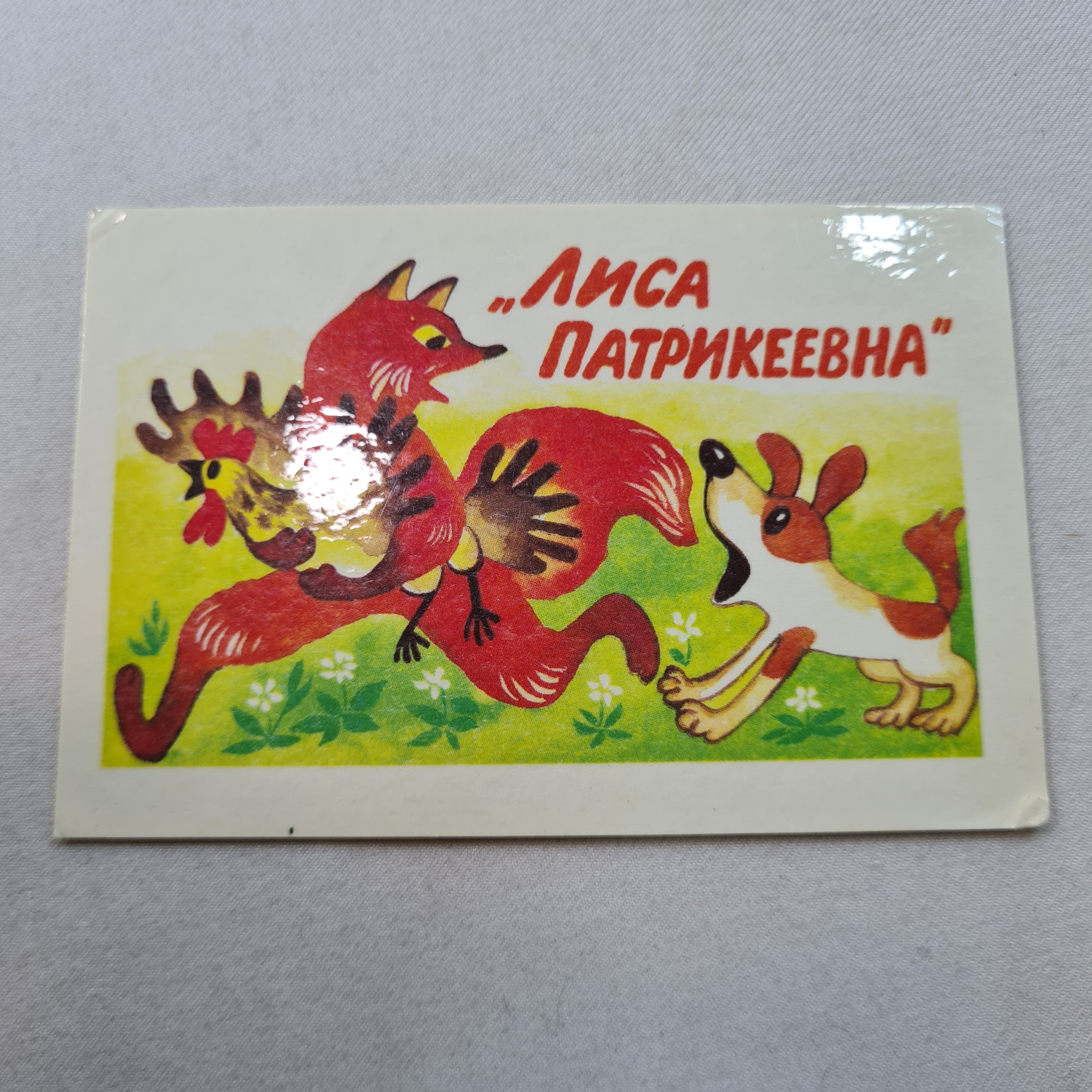 Картинка 1
