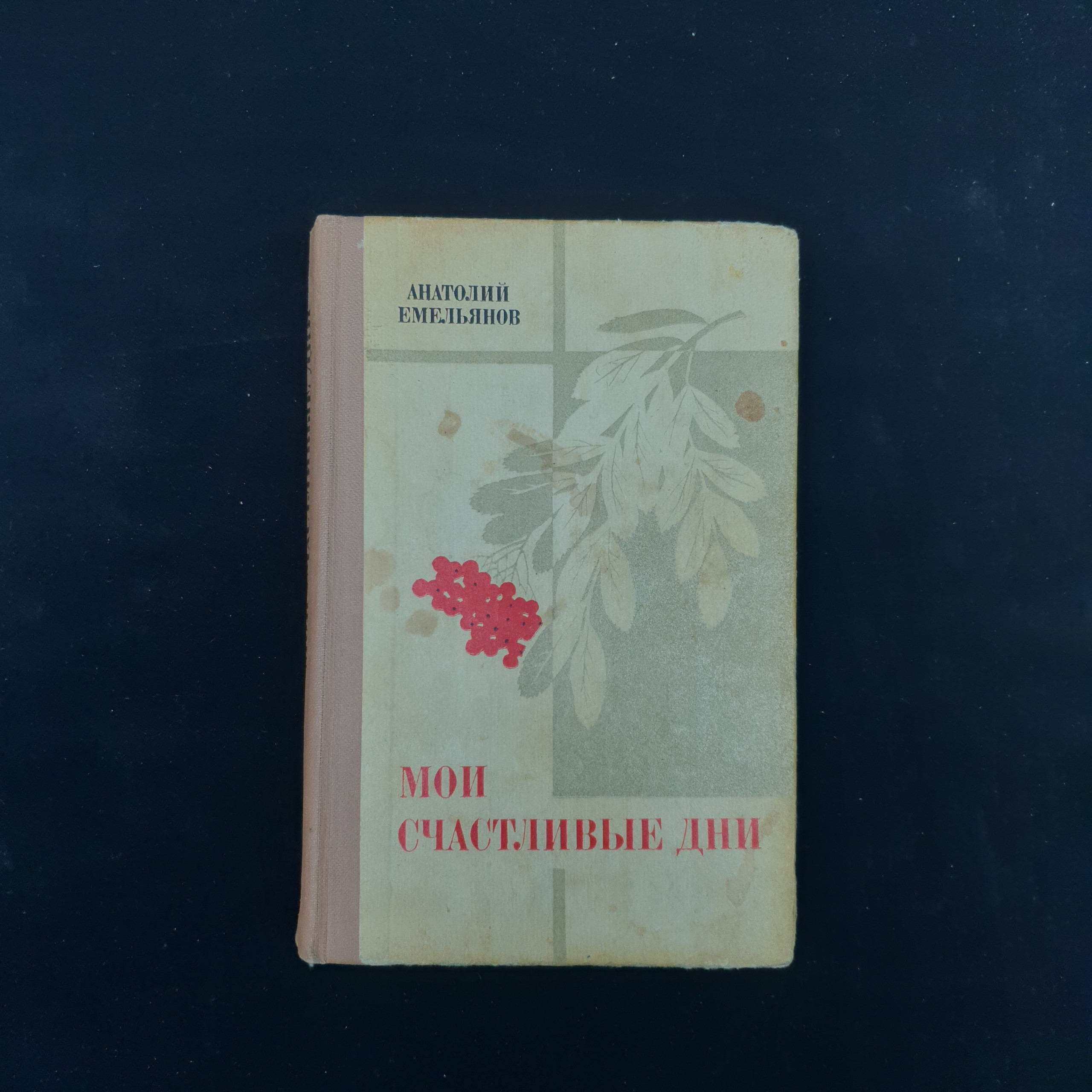 Картинка 1
