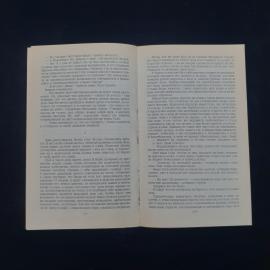 Картинка 4