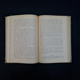 Картинка 5