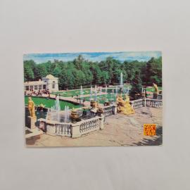 Картинка 1