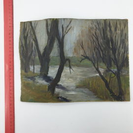 Картина Осень / весна. Масло, картон, Винтаж СССР 23 х 30 см. Картинка 10