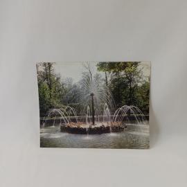 Открытка советская СССР. Петродворец, фонтан Солнце в парке. Винтажная фотокарточка вида Петергофа л