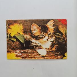 Карманный календарик 1989. Котенок на фоне природы и цветов. Календарь винтажный