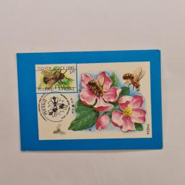 Карманный календарик 1991. Пчёлы и цветы, изображения насекомых и растительности. Календарь винтажны