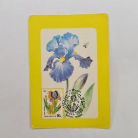 Карманный календарик 1987. Ирис на фоне. Цветы и природа в советском календаре.