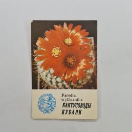 Карманный календарик 1986. Цветы кактусов, яркие изображения и декоративные элементы. Календарь винт