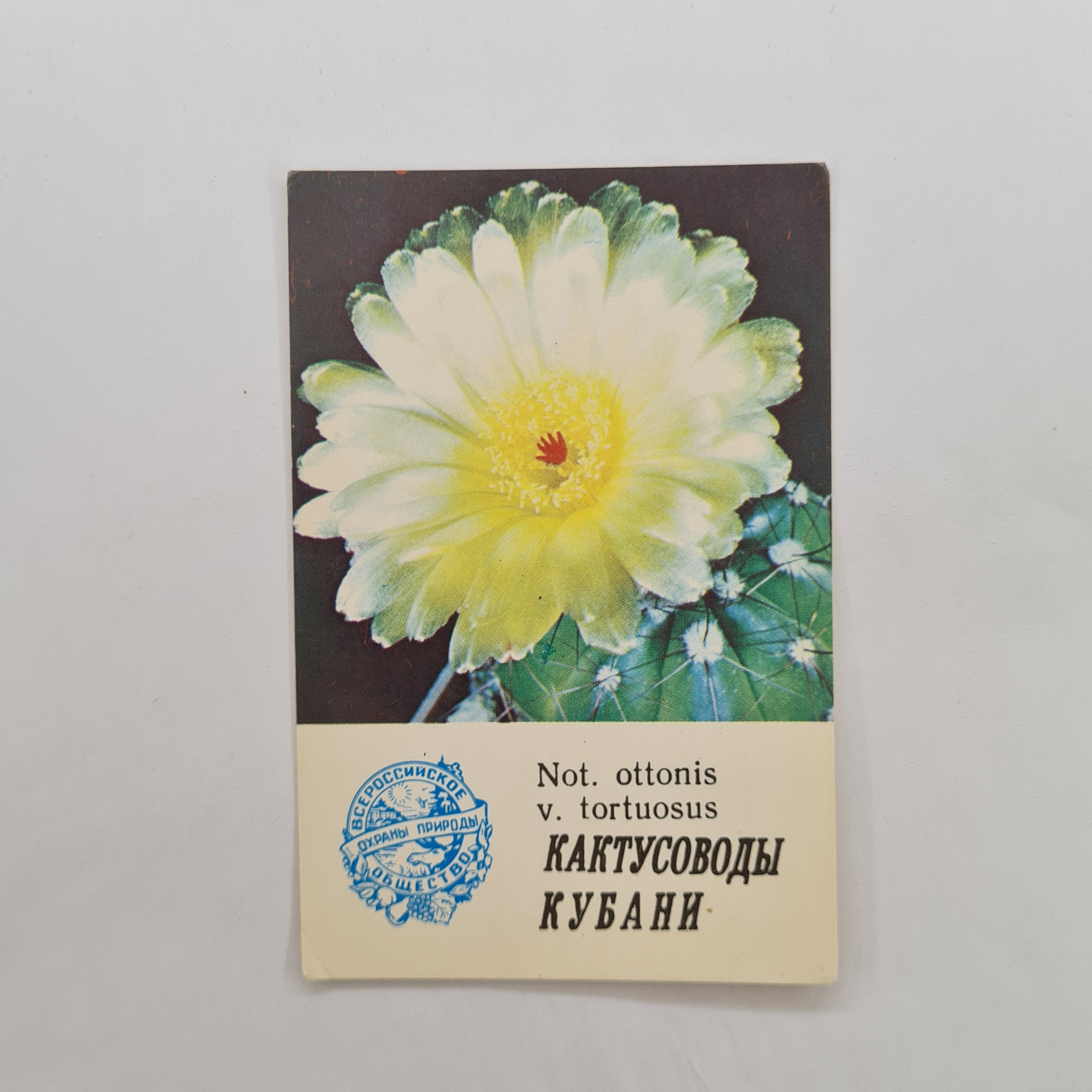 Картинка 1