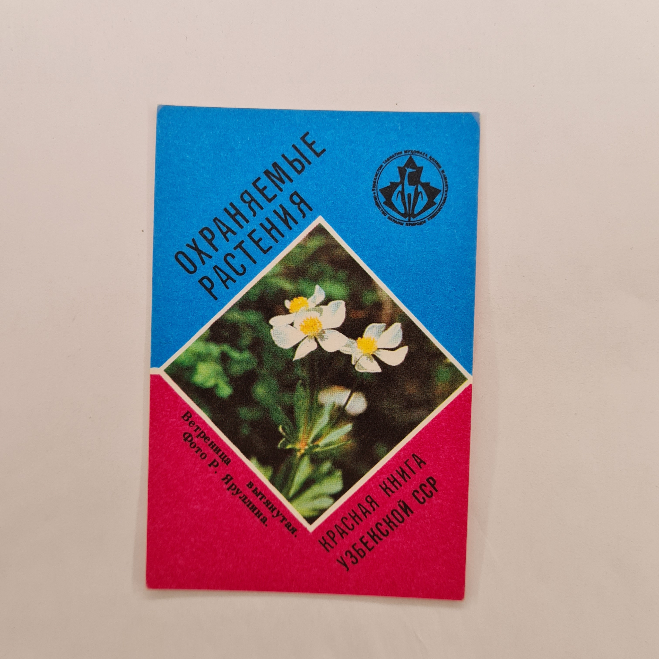 Картинка 1
