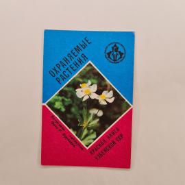 Карманный календарик 1988. Охраняемые растения Узбекской ССР. Календарь винтажный