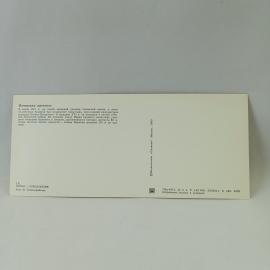 Картинка 2