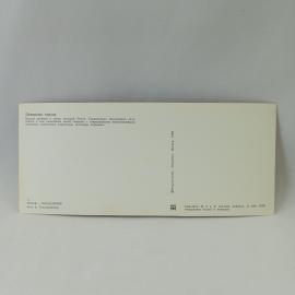 Картинка 2