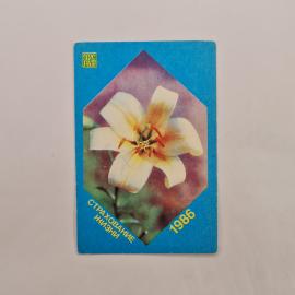Карманный календарик 1986. Белый лилия на синем фоне. Советский календарь на 1986 год.