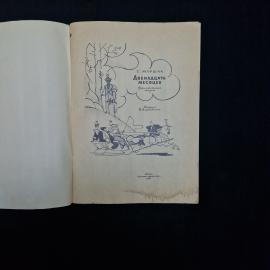 Картинка 3