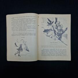 Картинка 5