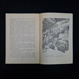 Картинка 5