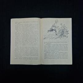 Картинка 5