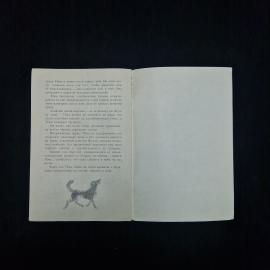 Картинка 6