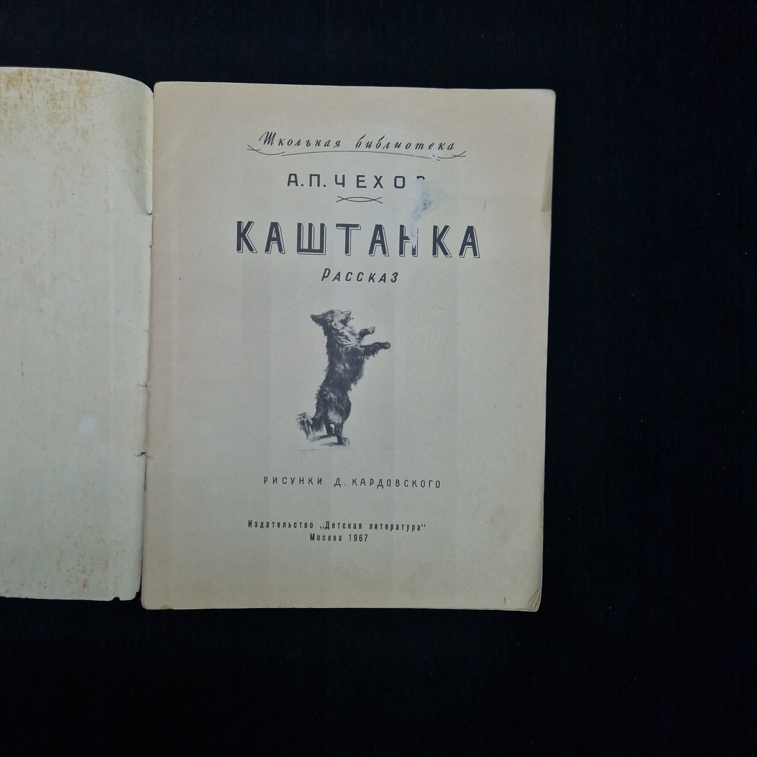 Картинка 3