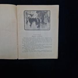 Картинка 4