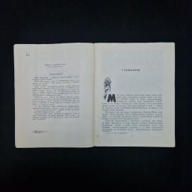 Картинка 4