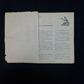 Картинка 3