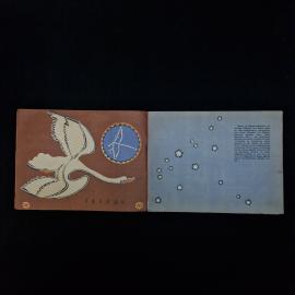 Картинка 3
