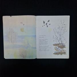 Картинка 3