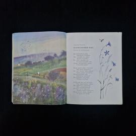 Картинка 4