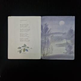 Картинка 5