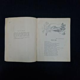 Картинка 4