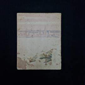 Картинка 2