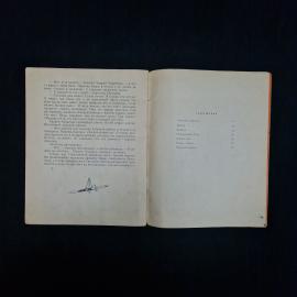 Картинка 6