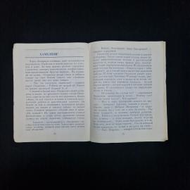 Картинка 5
