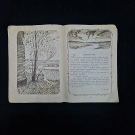 Картинка 5