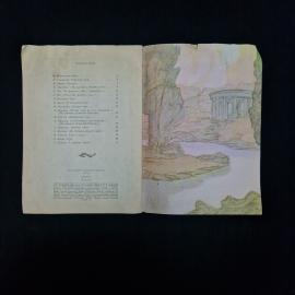 Картинка 6