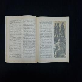 Картинка 4