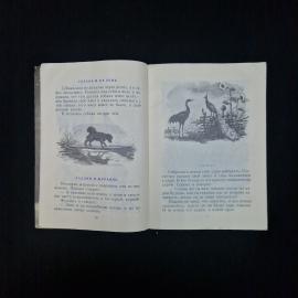 Картинка 5