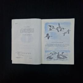 Картинка 4