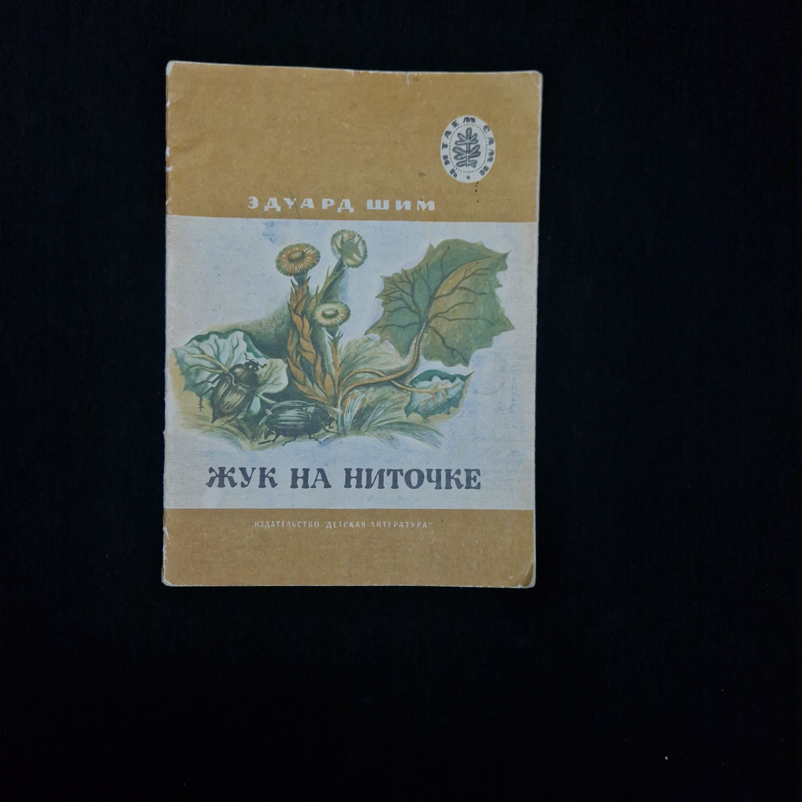 Картинка 1