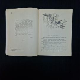 Картинка 4