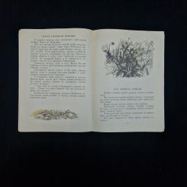 Картинка 5