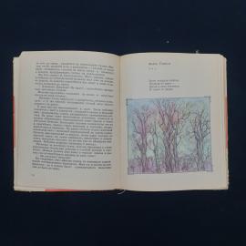 Картинка 4